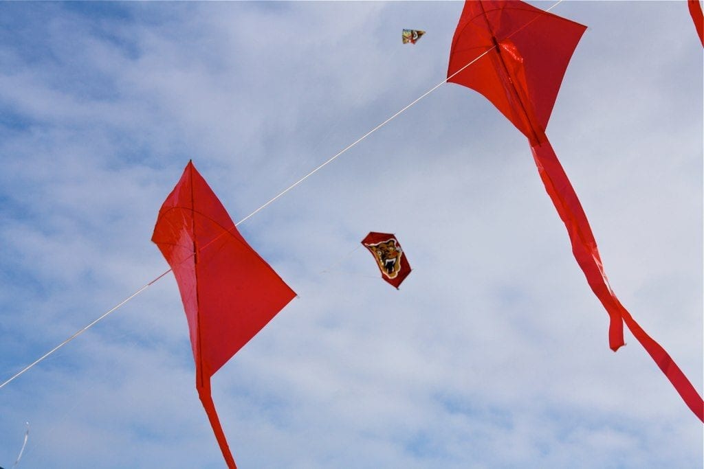 Kite flying competition
