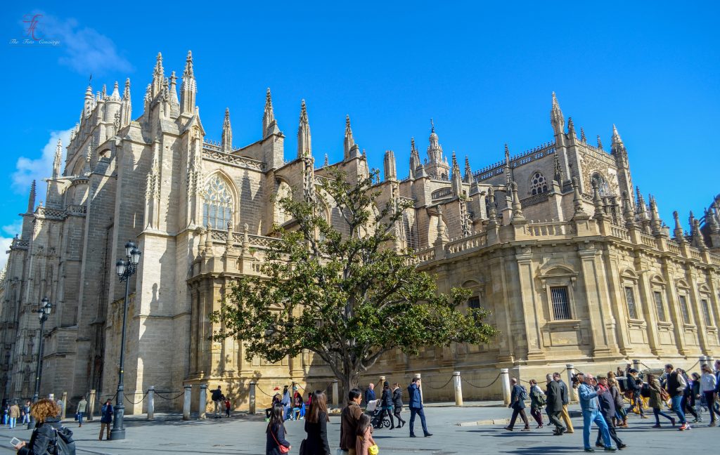 The Gothic Seville Cathedral