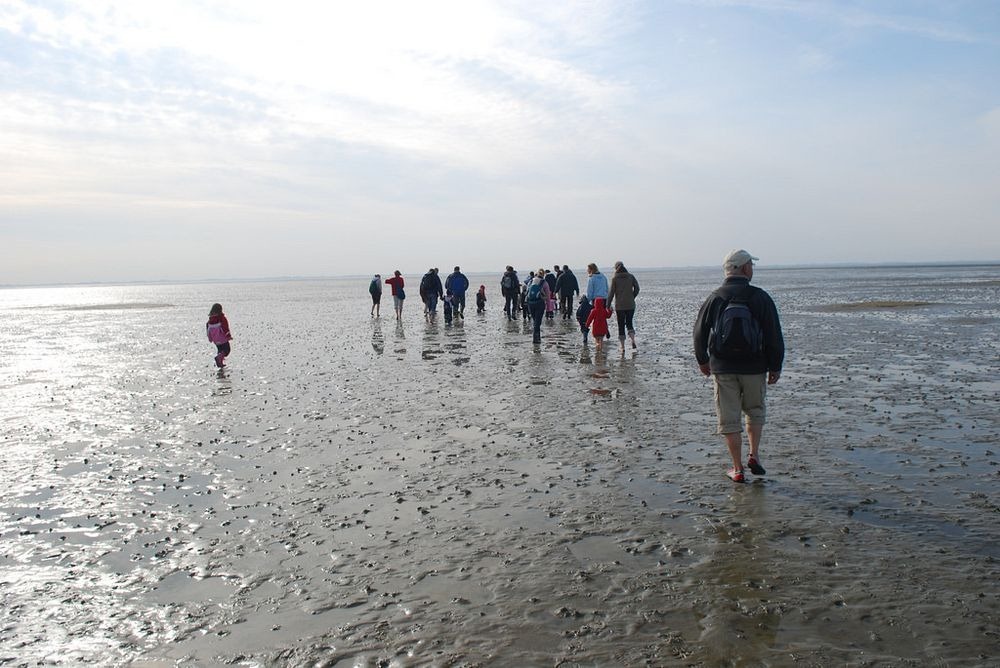 Wadden Sea Hiking - Curly Tales