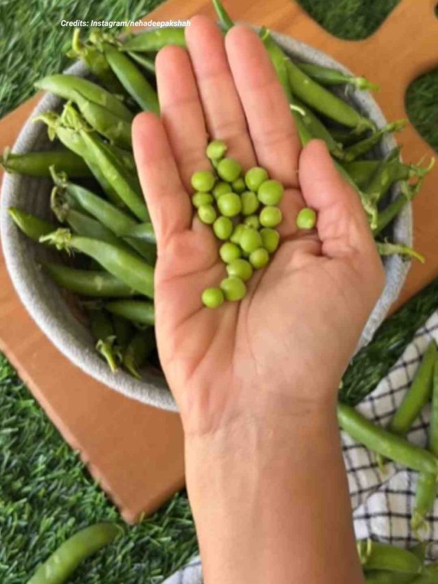 Here S How You Can Store Green Peas Without Any Preservatives For Up To