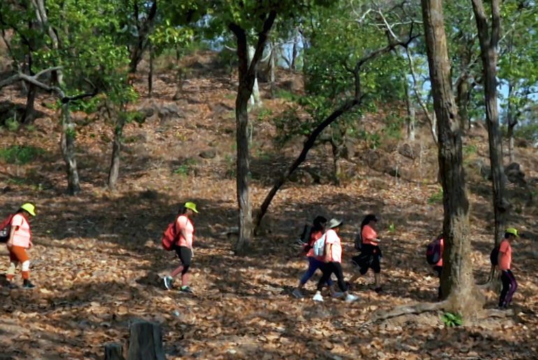 MP trekking