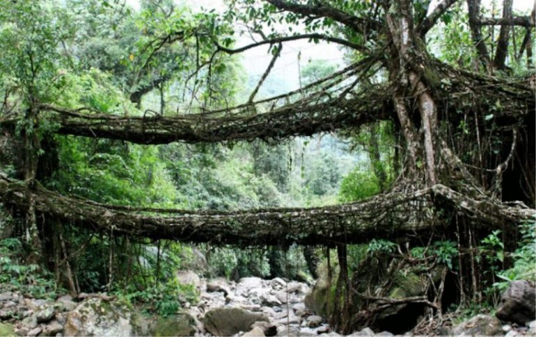 Cherrapunji, January