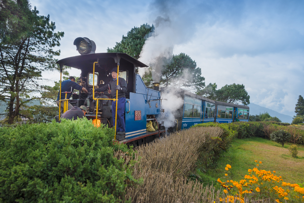 Darjeeling Toy Train Resumes Operations After 17 Months For A Magical Ride Through The Mountains
