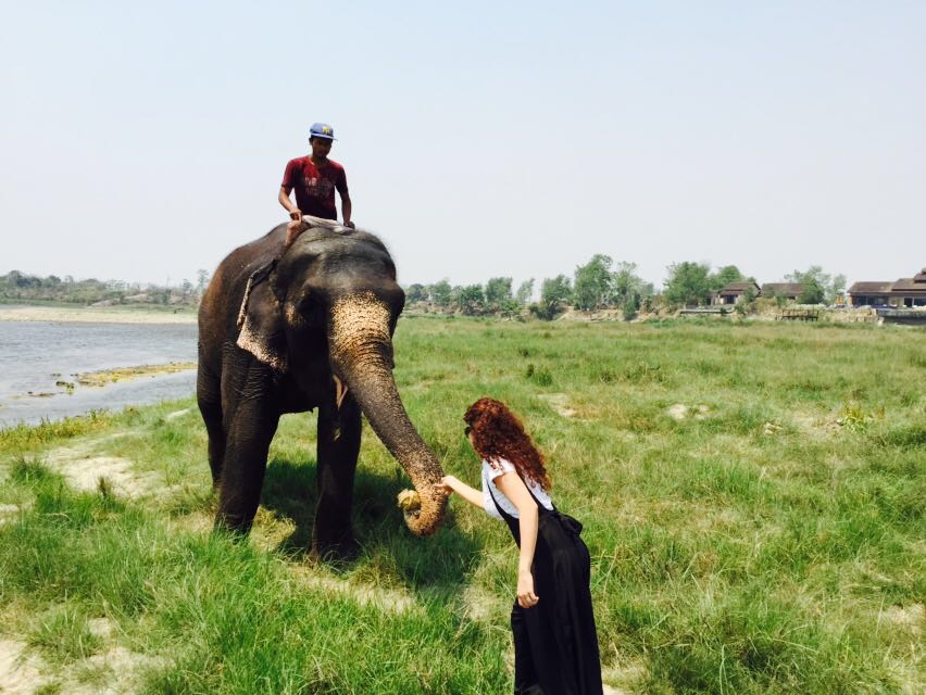 8 Reasons Why Chitwan National Park in Nepal Should Be On Your Bucket List
