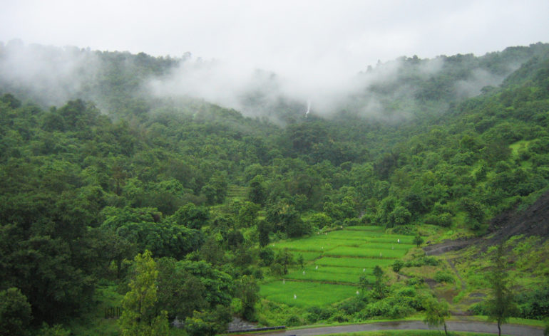 Konkan_Railway_-_views_from_train_on_a_Monsoon_1