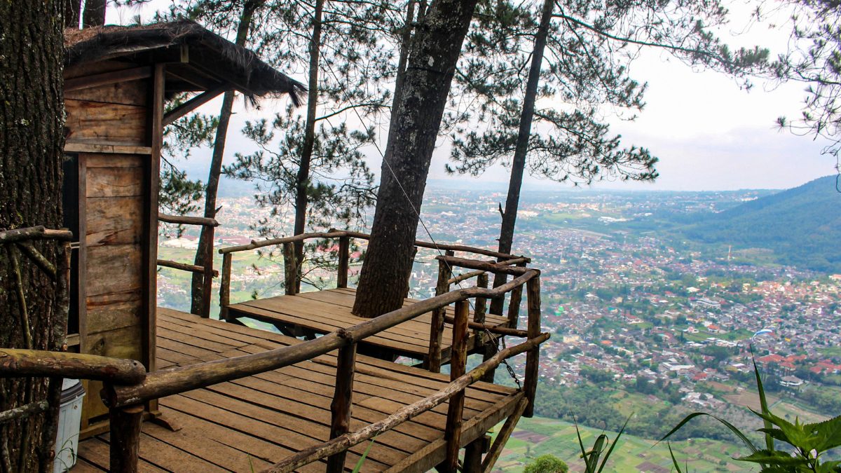 From Canopy To Clouds, Head To These 8 Enchanting Tree Houses In India For A Perfect Escape
