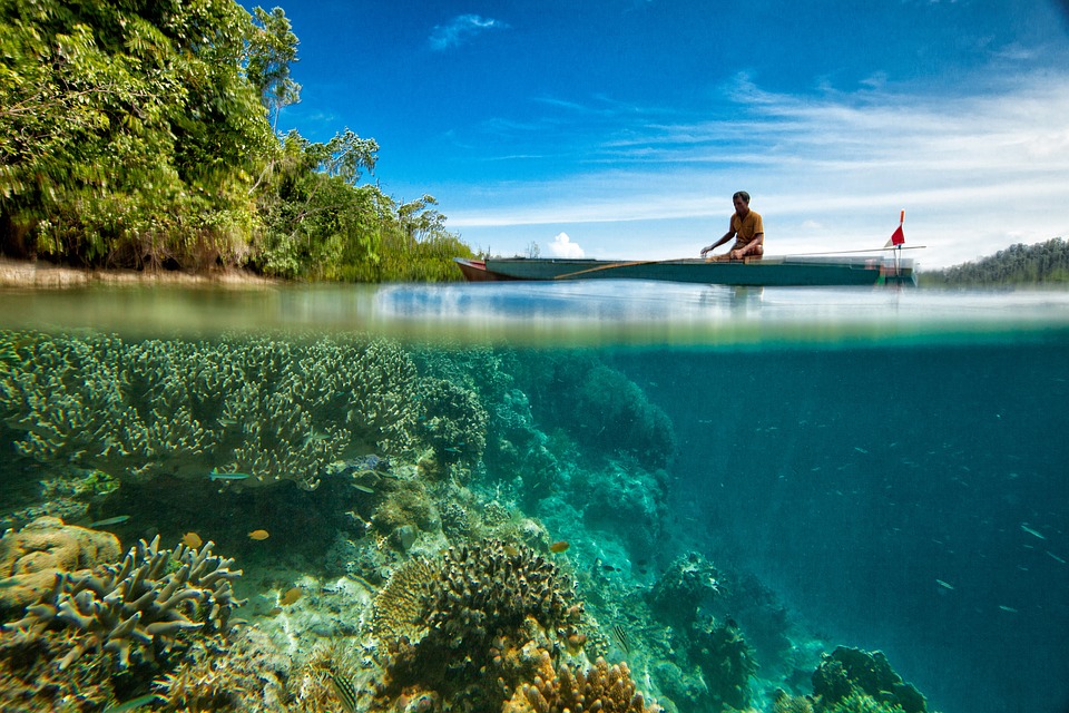 Curly_Tales_Barren_Islands