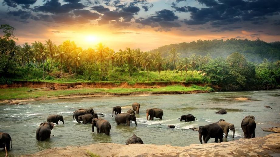 7-Day Itinerary In Sri Lanka With Your Girl Gang