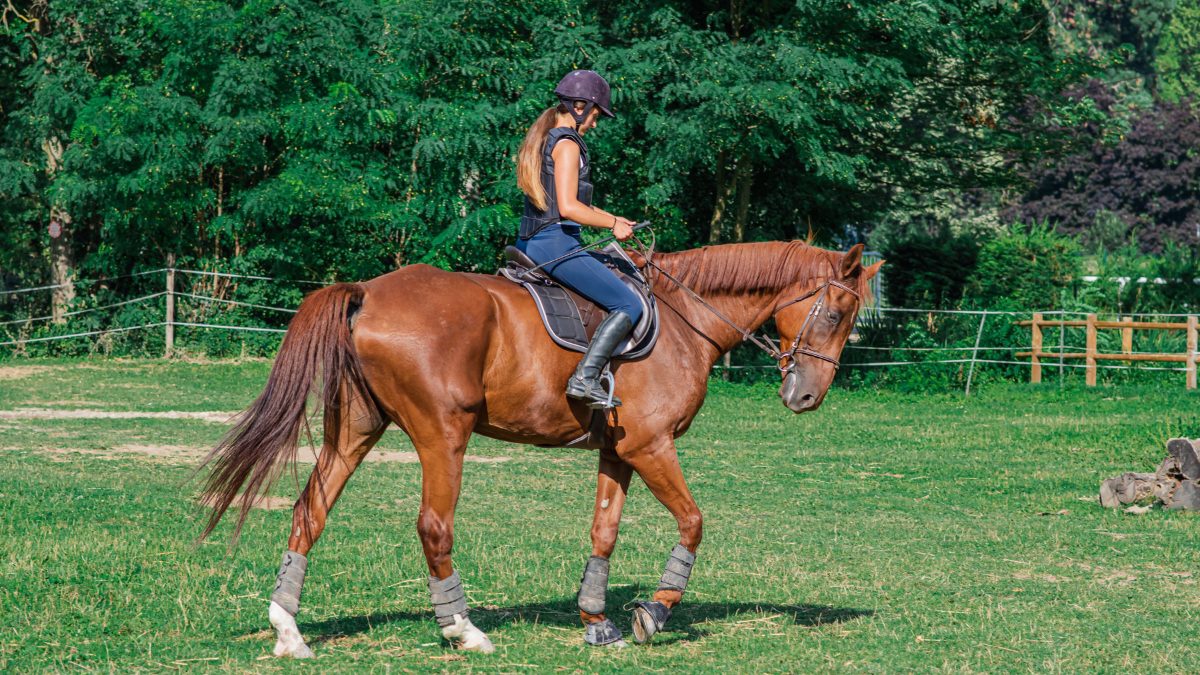 9 Best Places To Go Horse Riding In Delhi NCR For A Fun Outdoor Escape