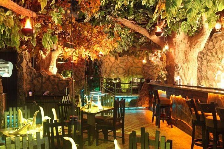 Rainforest Restobar