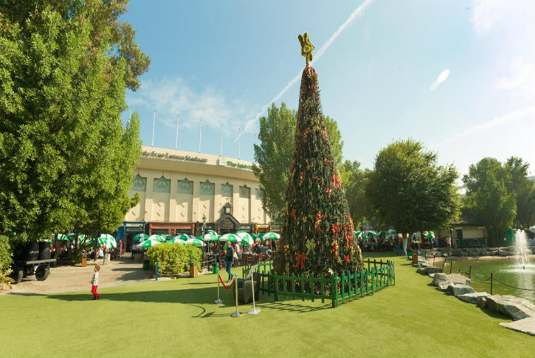 The Irish Village Has Announced Its Christmas Tree Lighting & Celebration Details