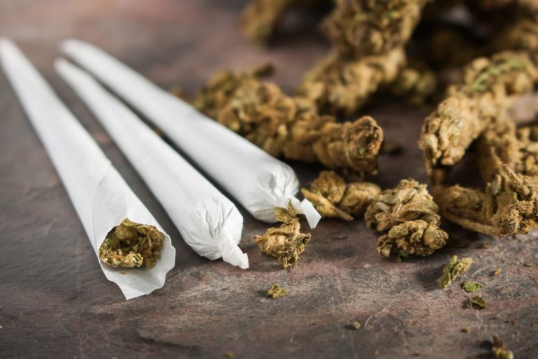 Himachal To Legalize Marijuana Cultivation