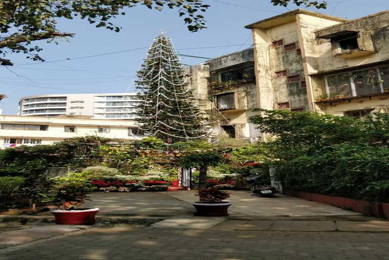 The Tallest Record- Breaking Christmas Tree Is In Mumbai