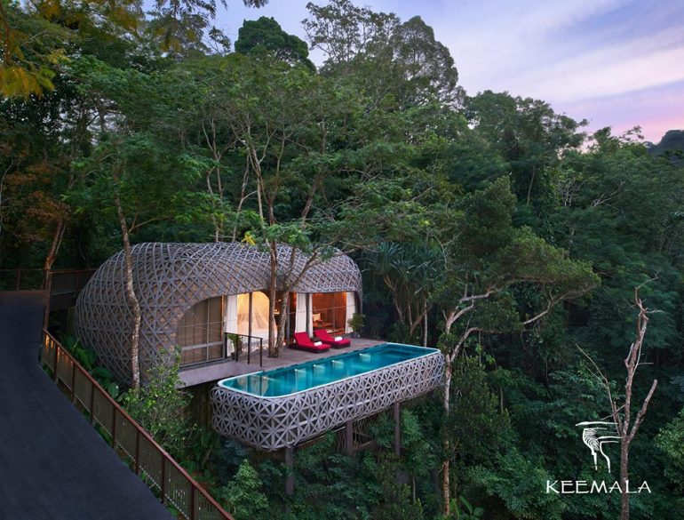This Treehouse  In A Middle Of A Forest Has A Pool Overlooking The Andaman Sea