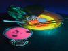 World’s First Glow-In-The-Dark Ramen