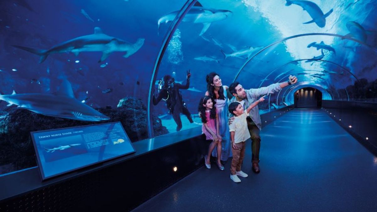 . Aquarium™ Guide: Inside One of the World's Largest Aquariums And Its  45 Diverse Habitats