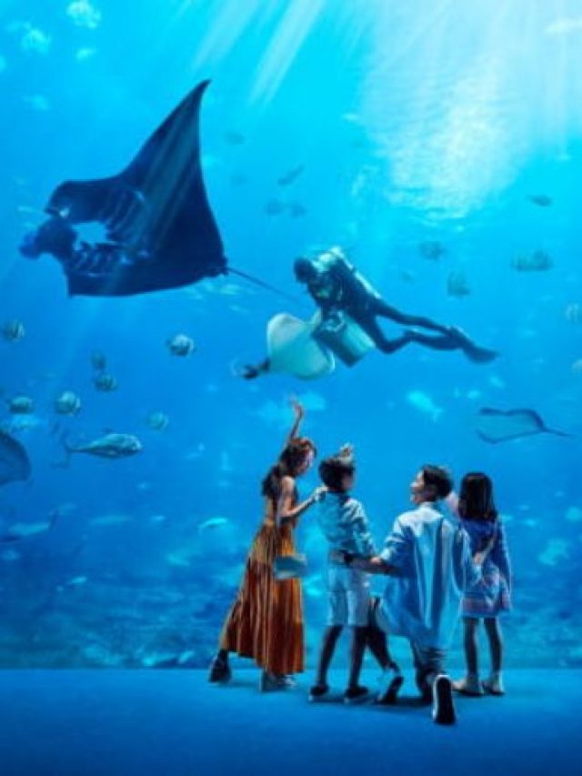 SEA Aquarium