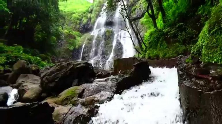 Discover Amboli Ghat’s Magnificent Waterfalls And Lots More