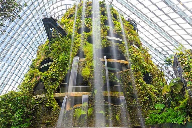 Cloud Forest In Singapore