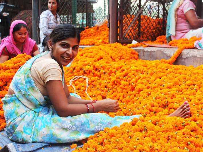 Explore The Stunning Ghazipur Flower Market In Delhi NCR