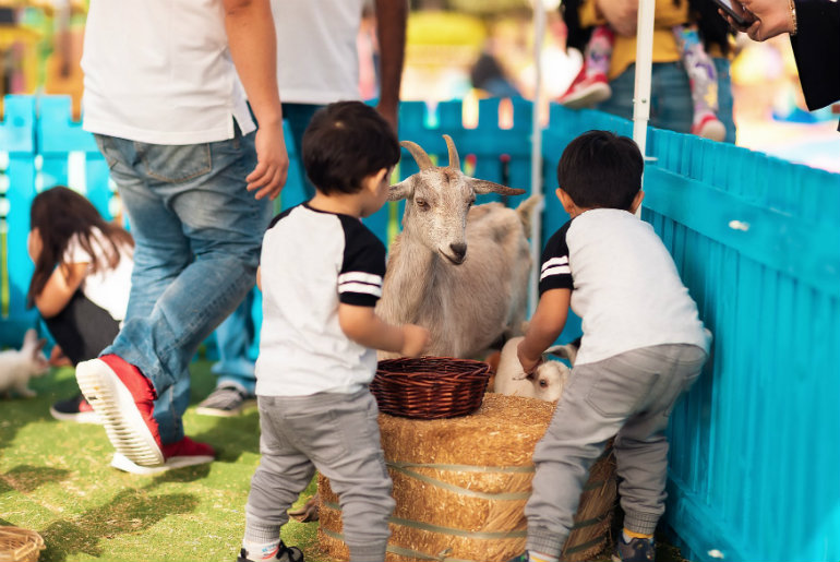 City Centre Me’aisem’s Introduces Petting Zoo For Kids