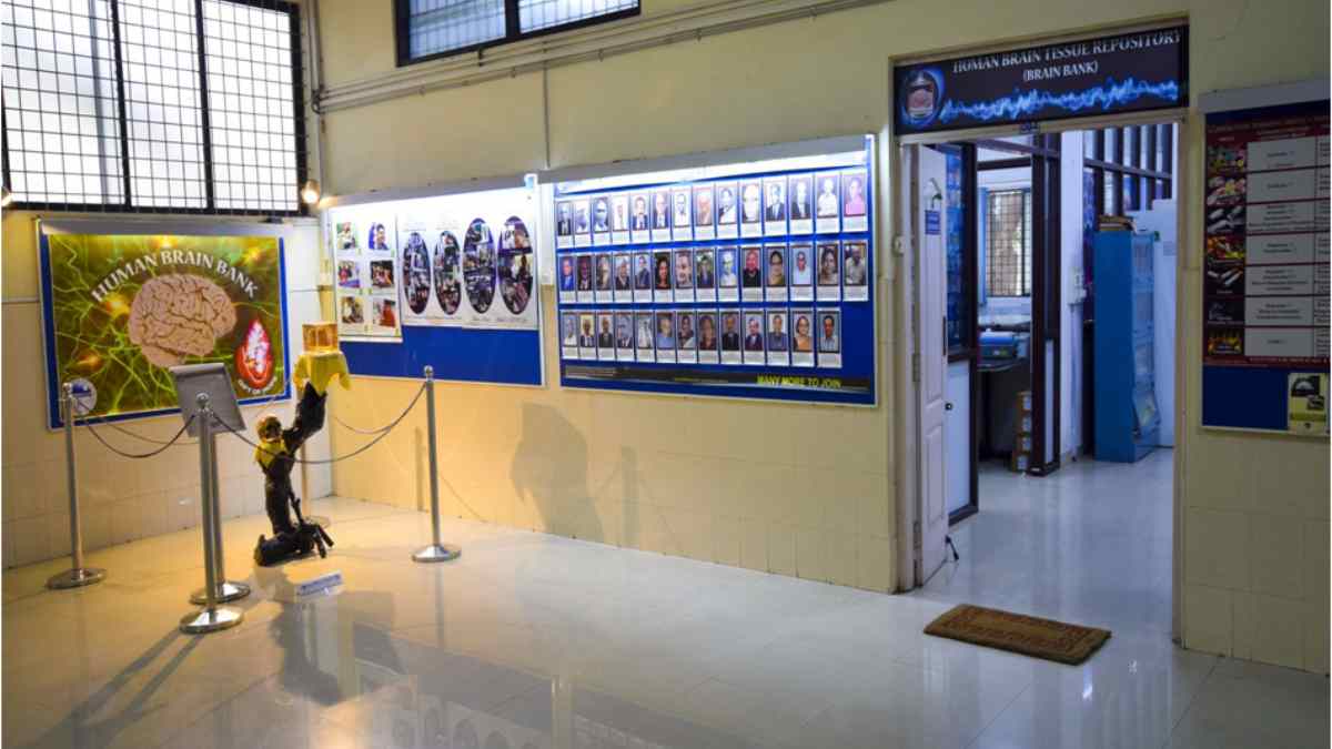 Bengaluru Has A Brain Museum In NIMHANS With 10,000 Brain Specimens, Some Dating Back To 1970s