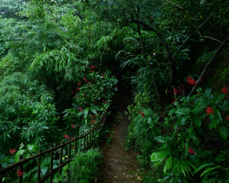 green, kerala