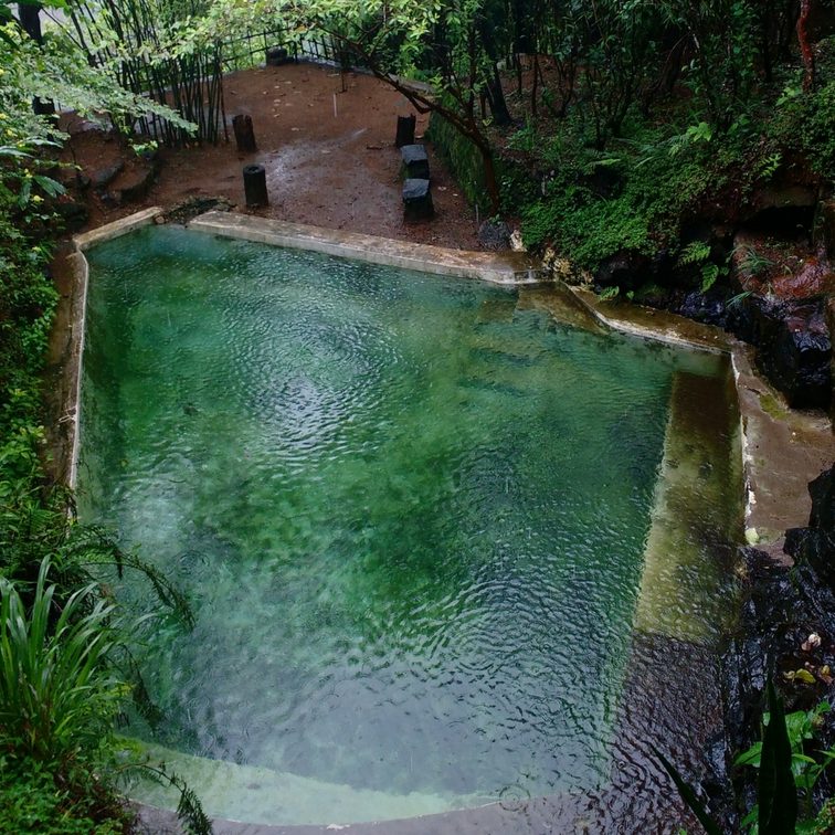 pool, natural