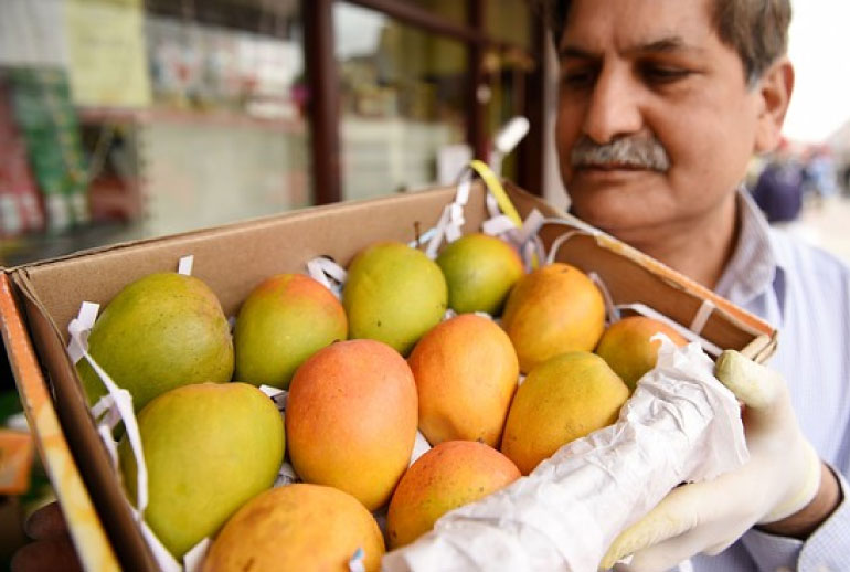 5 Must Go To Places In India For All Mango Lovers