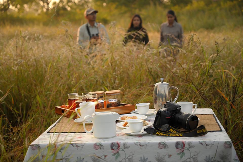 bandhavgarh