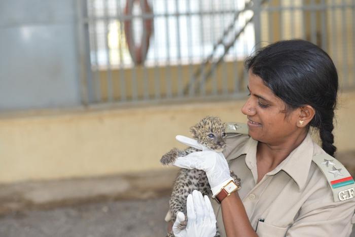 First Woman Forest Guard In Gir Forest