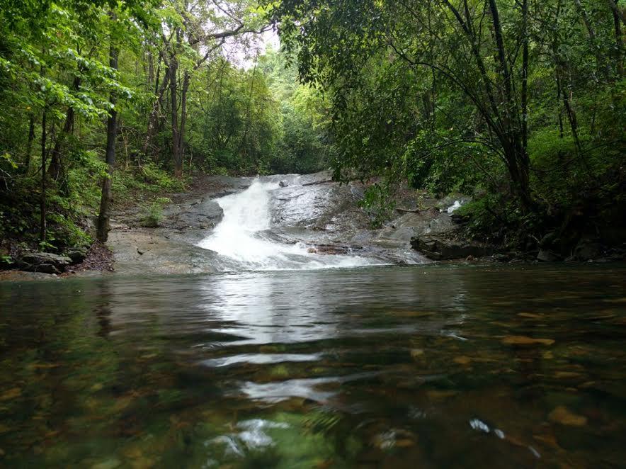 karnataka