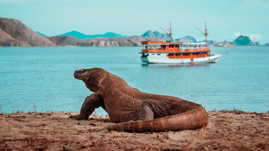 Komodo Island Off Limits To Tourists For A Year