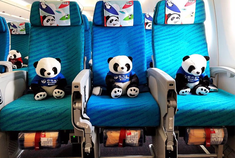 Check Out China’s First Panda Themed Airplane