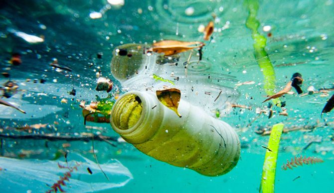 Plastic Found In Mariana Trench During Mankind’s Deepest Dive
