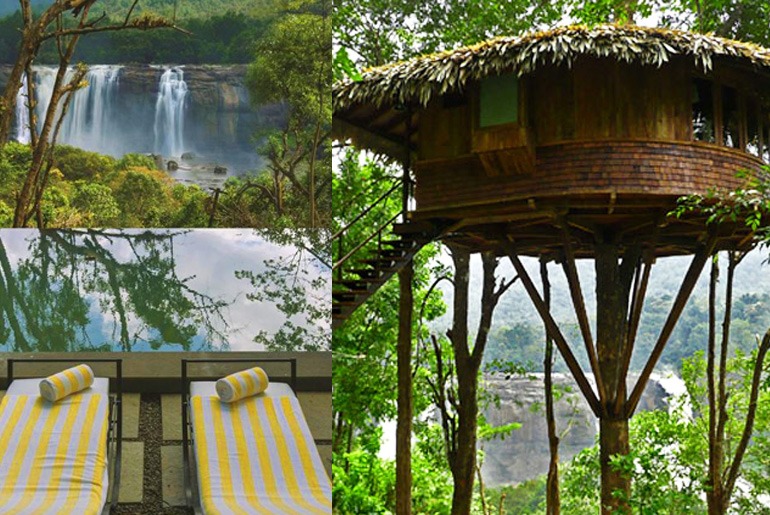 Live in A Tree House At Rainforest Resort, Athirapally Falls In Kerala