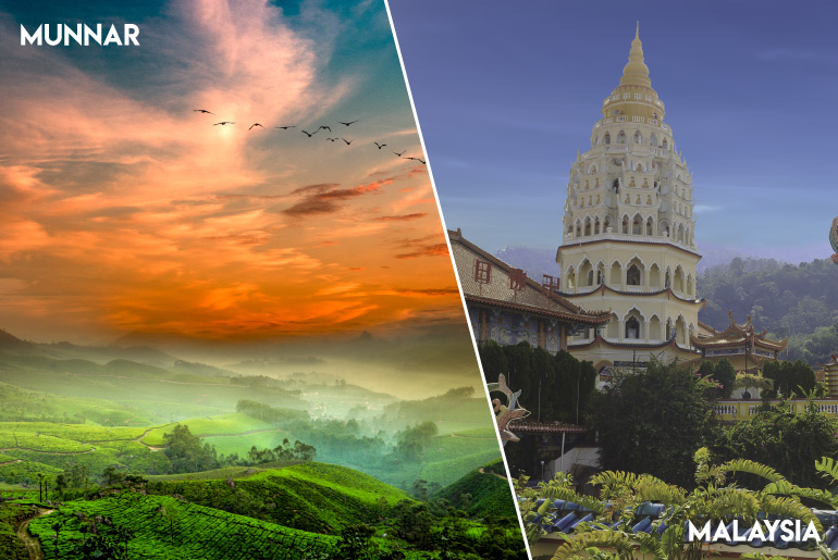 5 Reasons Why You Must Visit Munnar Before Malaysia