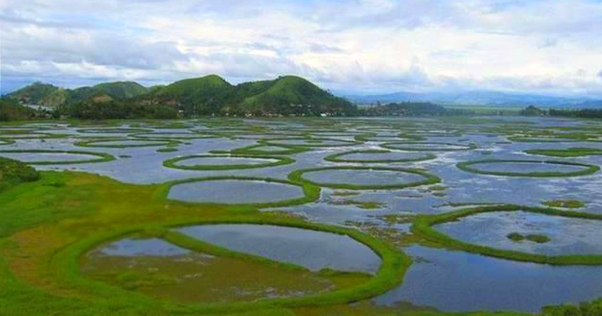 Did You Know That World’s Only Floating National Park Is In Manipur?