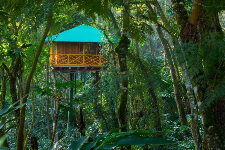 Exotic Tree House Stay At Dream Catcher Resort In Kerala