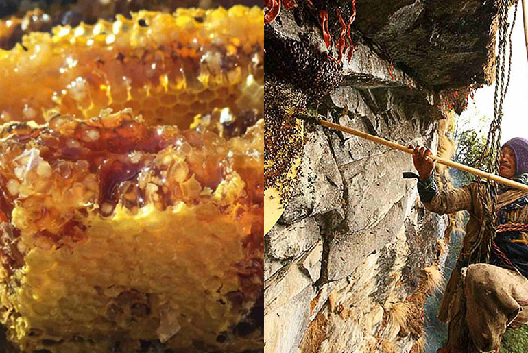 Dare To Try The Hallucinogenic Honey In Nepal ?