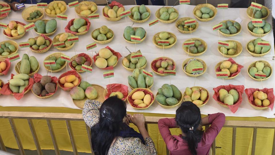 Delhi Is Back With It’s 31st Mango Festival