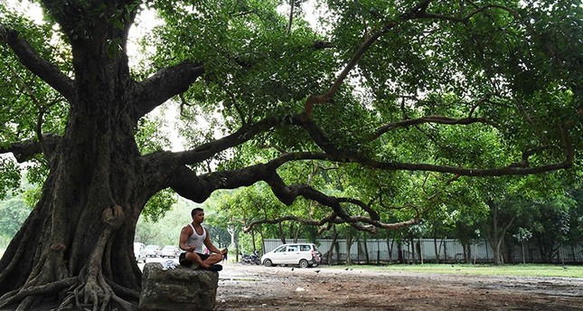Gurugram Has Got An Ambulance To Care For It’s Trees And Here’s Why Every City Needs Them