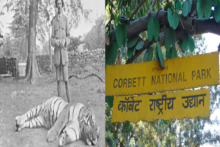 The Legacy Behind India's First Natural Sanctuary In Uttarakhand, Jim Corbett | Curly Tales