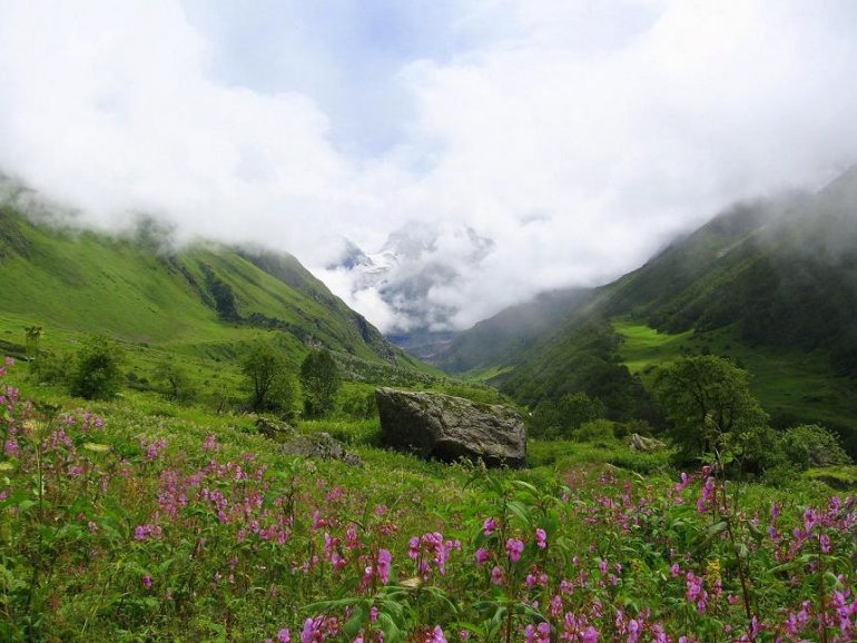 Tourists To Soon Pay Green Tax To Visit Uttarakhand