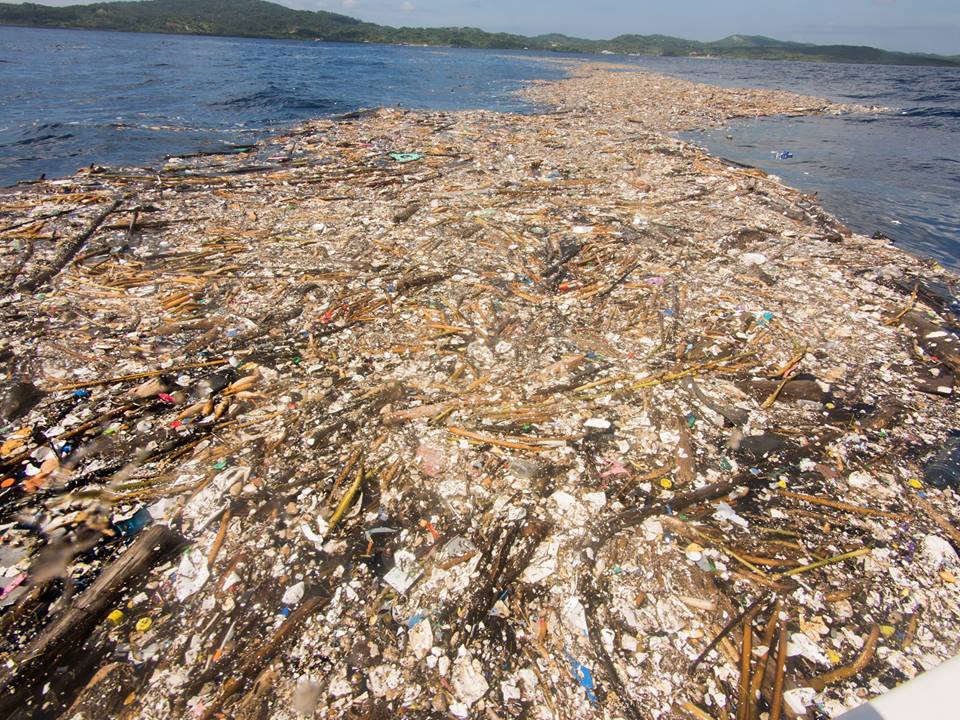 Shocking Photos Of How Carribbean Sea Has Been ‘Choked To Death By Waste’