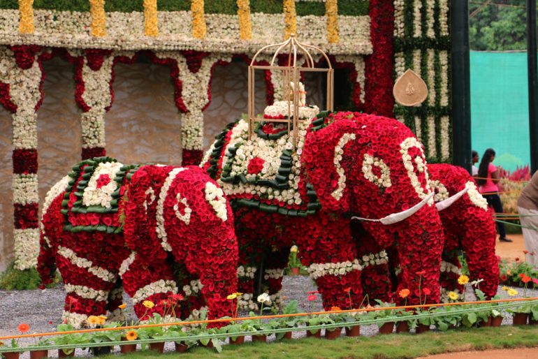 Lalbagh Flower Show 2019 Is Here To Make Your Independence Day A Colorful One