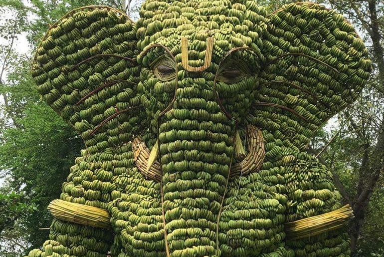 Sambalpur Village In Odisha Creates Huge Ganesha Idol Made Out Of Bananas