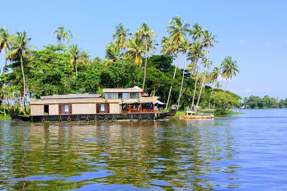 Alleppey Winter Green