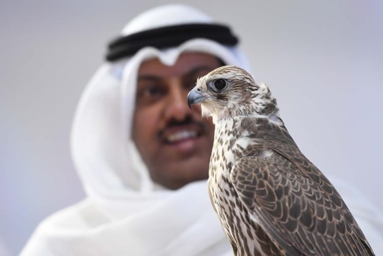Over 70,000 Visitors On First Day Of Saudi Falcons And Hunting Show 2019