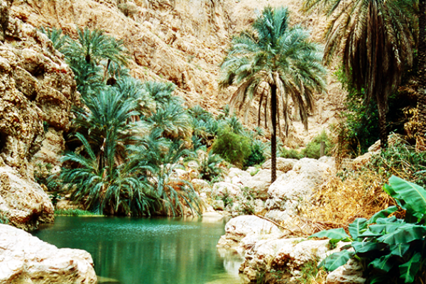 Wadi Al Shab